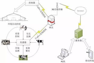設(shè)施農(nóng)業(yè)如何借助互聯(lián)網(wǎng)技術(shù)發(fā)展智慧農(nóng)業(yè)