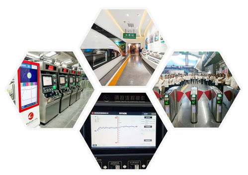 光華綻放 一位清華博士返鄉創業，以網絡技術賦能萬物互聯